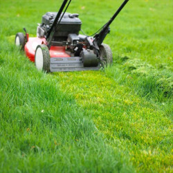 What Time Can I Legally Mow My Lawn in the UK?